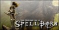The Chronicles of Spellborn
